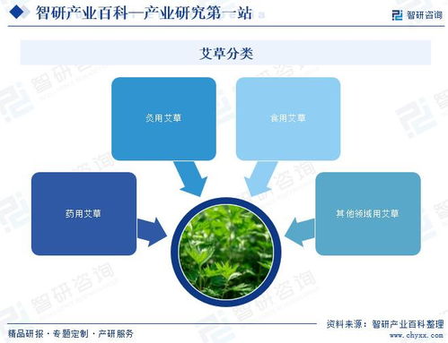 智研咨询发布 艾草行业市场动态分析 发展方向及投资前景分析报告